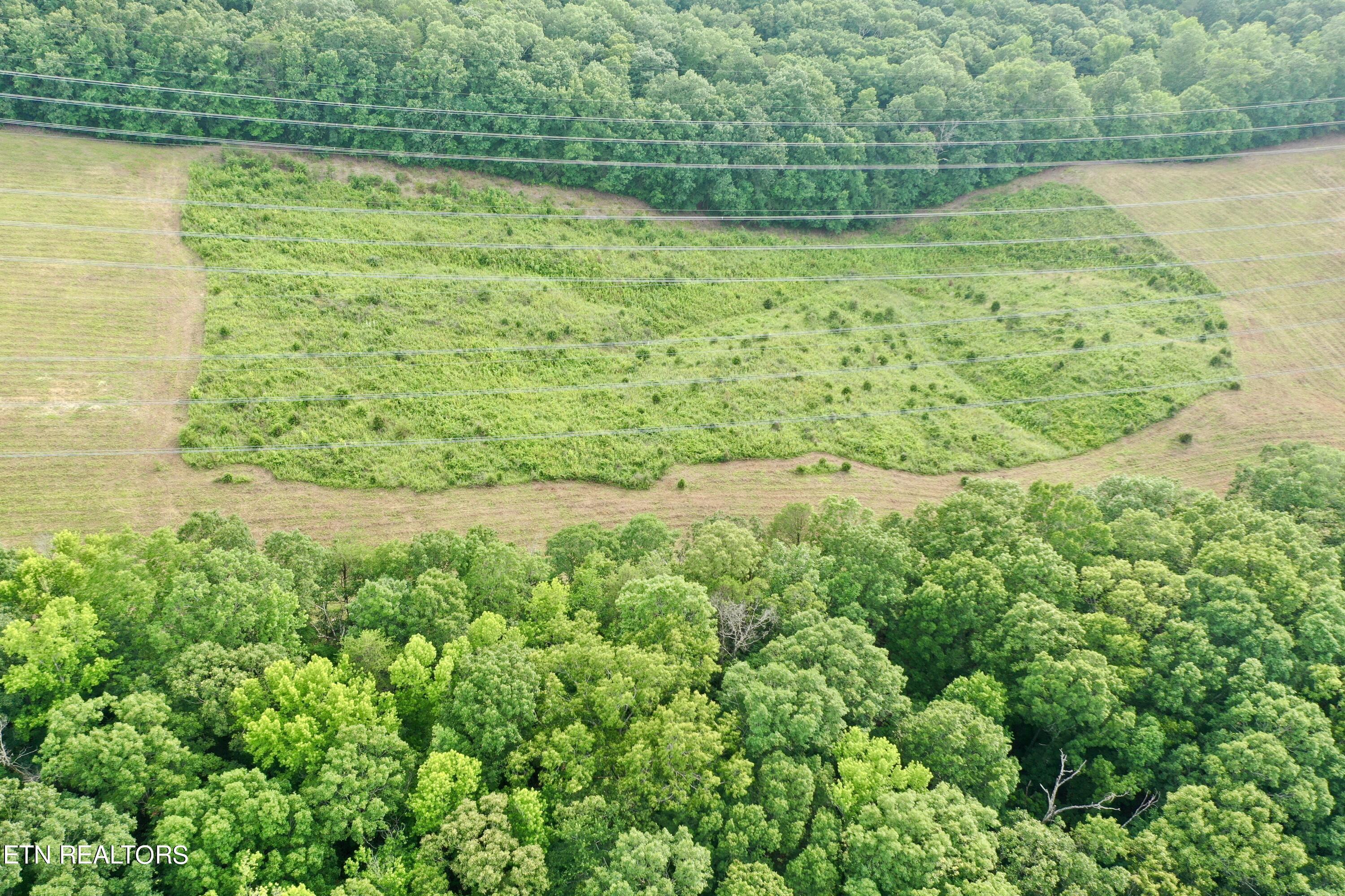 Ridge Road Decatur, TN 37322 - Photo 43 of 60 DJI_0102