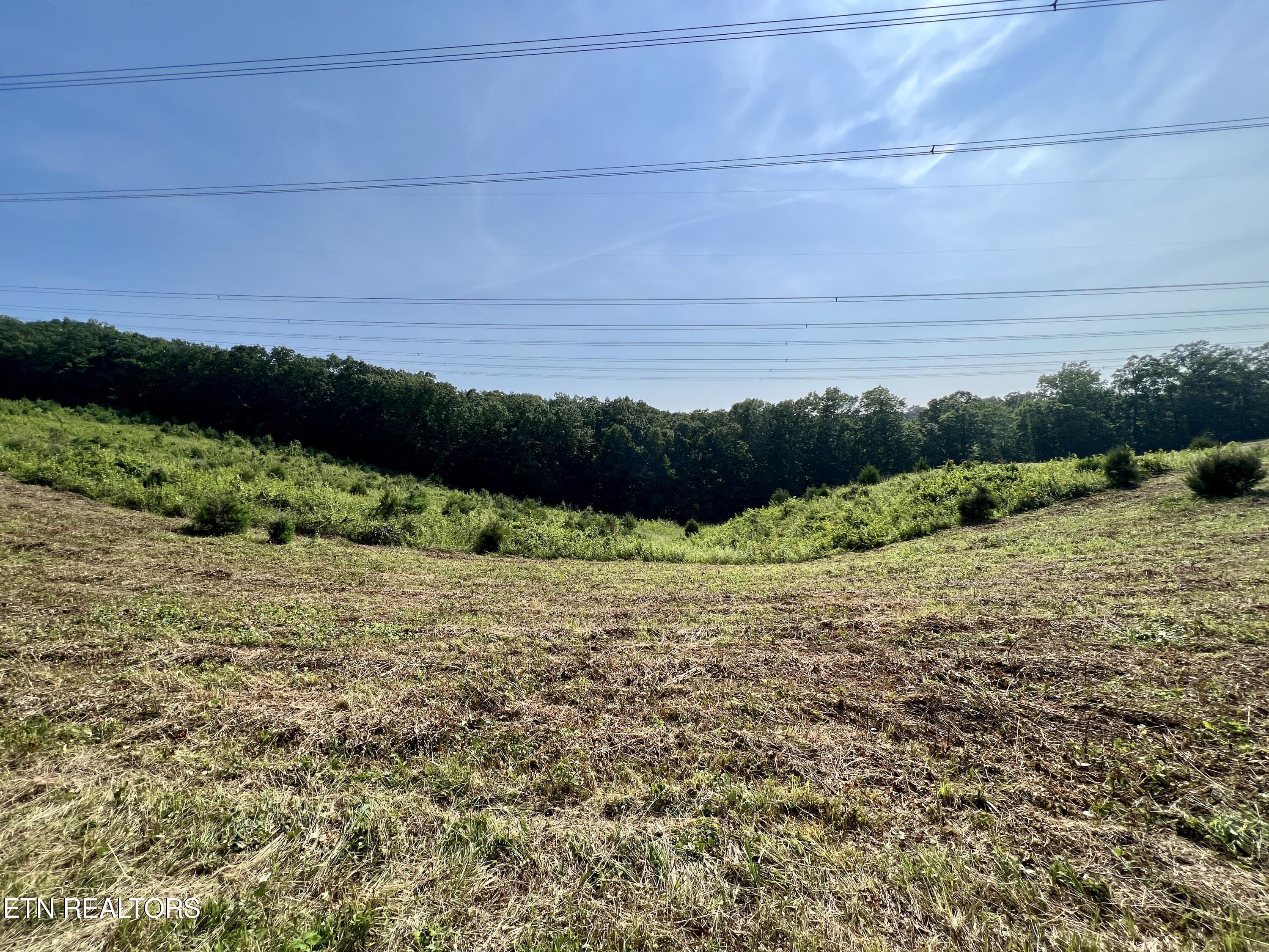 Ridge Road Decatur, TN 37322 - Photo 49 of 60 IMG_7819