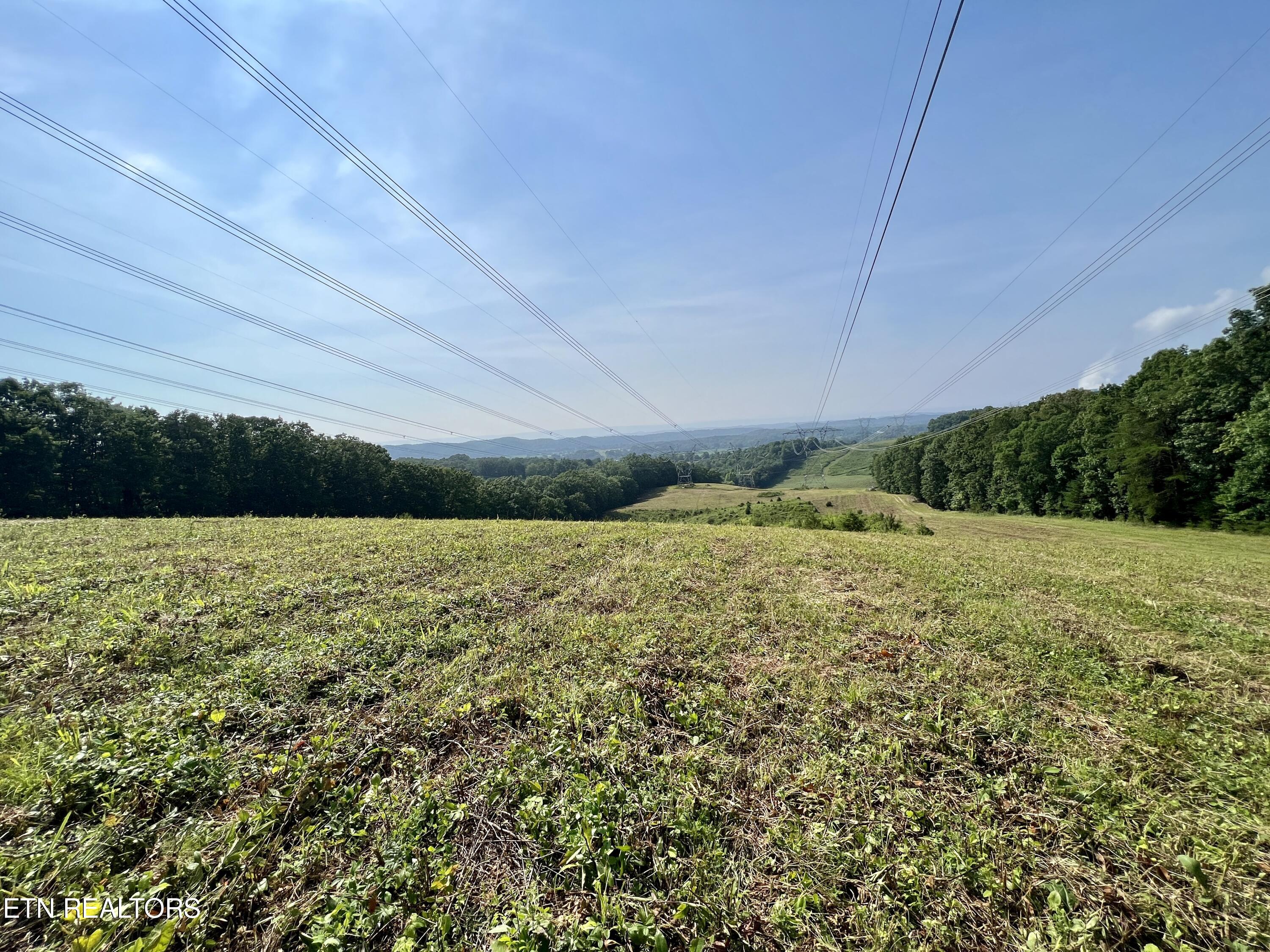 Ridge Road Decatur, TN 37322 - Photo 50 of 60 IMG_7821