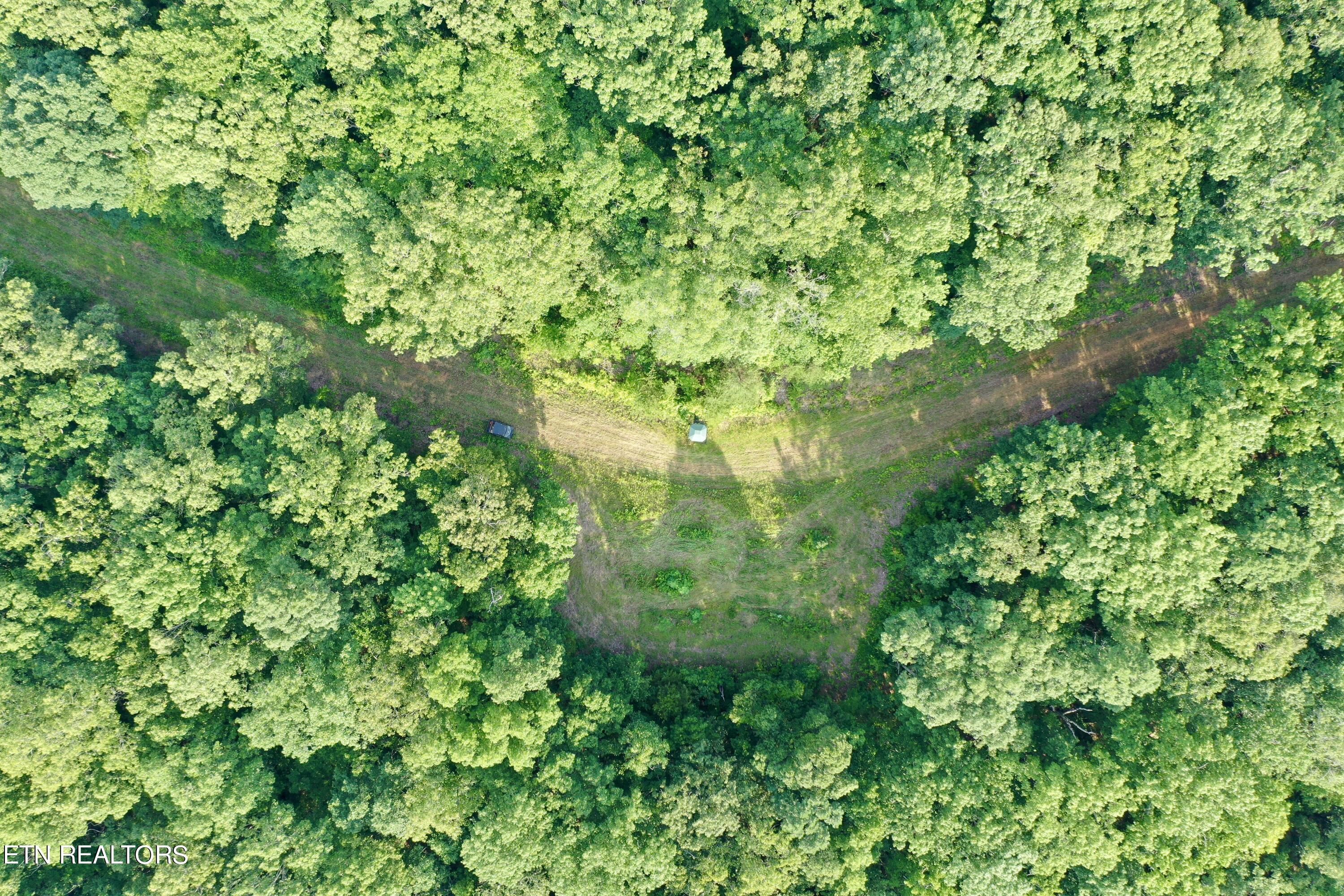 Ridge Road Decatur, TN 37322 - Photo 5 of 60 5