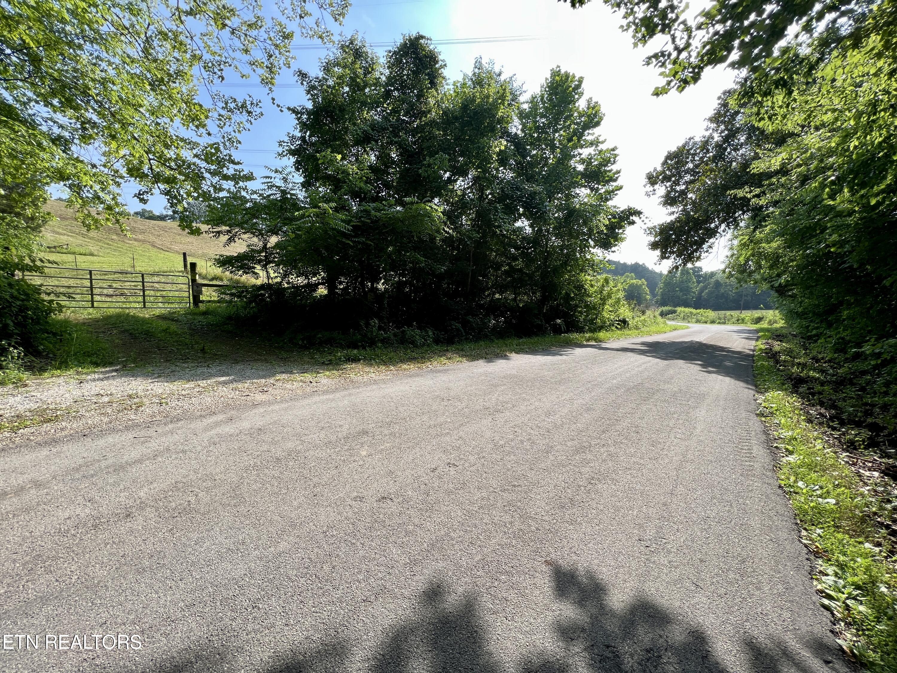 Ridge Road Decatur, TN 37322 - Photo 53 of 60 IMG_7833