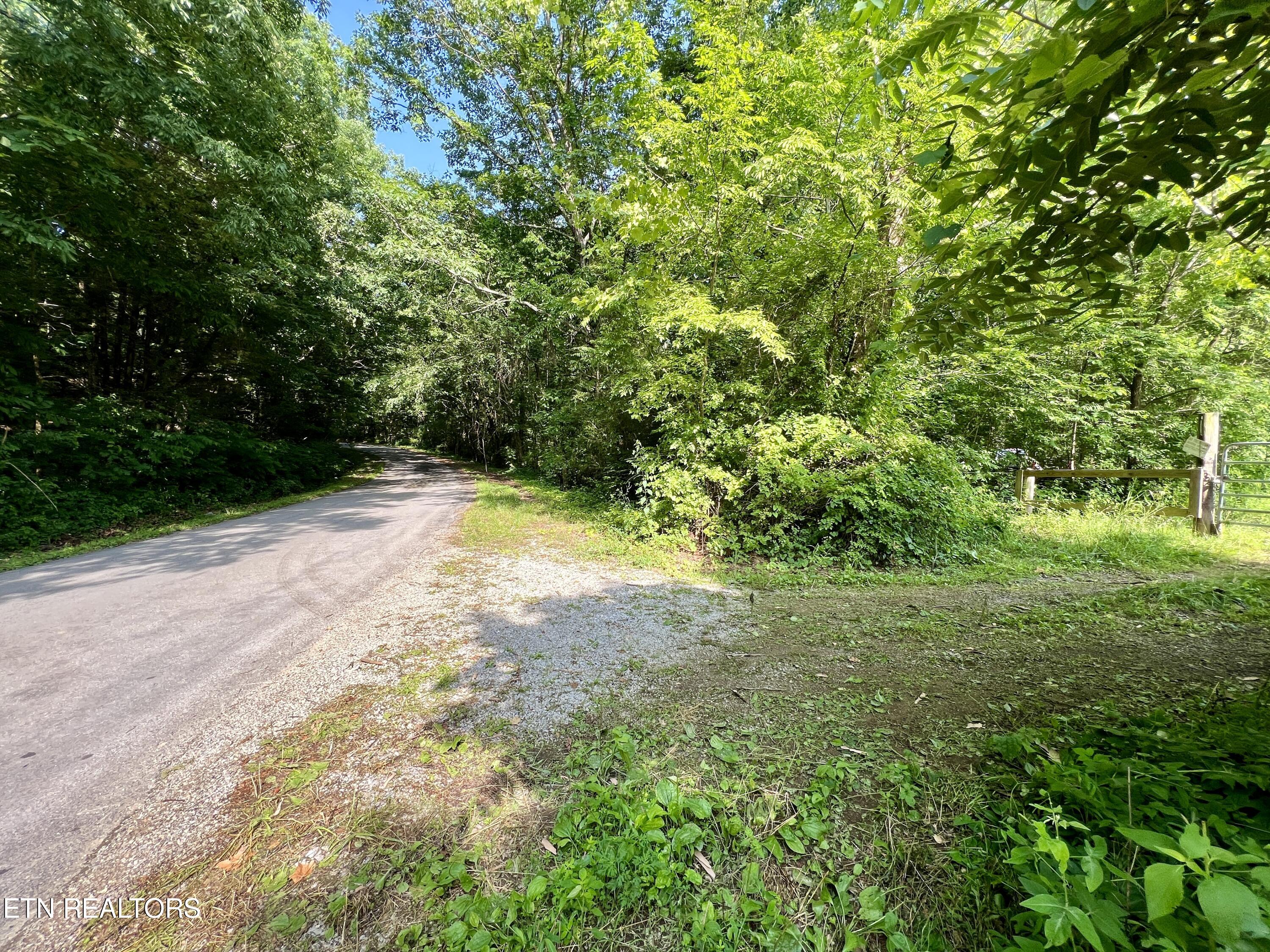 Ridge Road Decatur, TN 37322 - Photo 54 of 60 IMG_7834