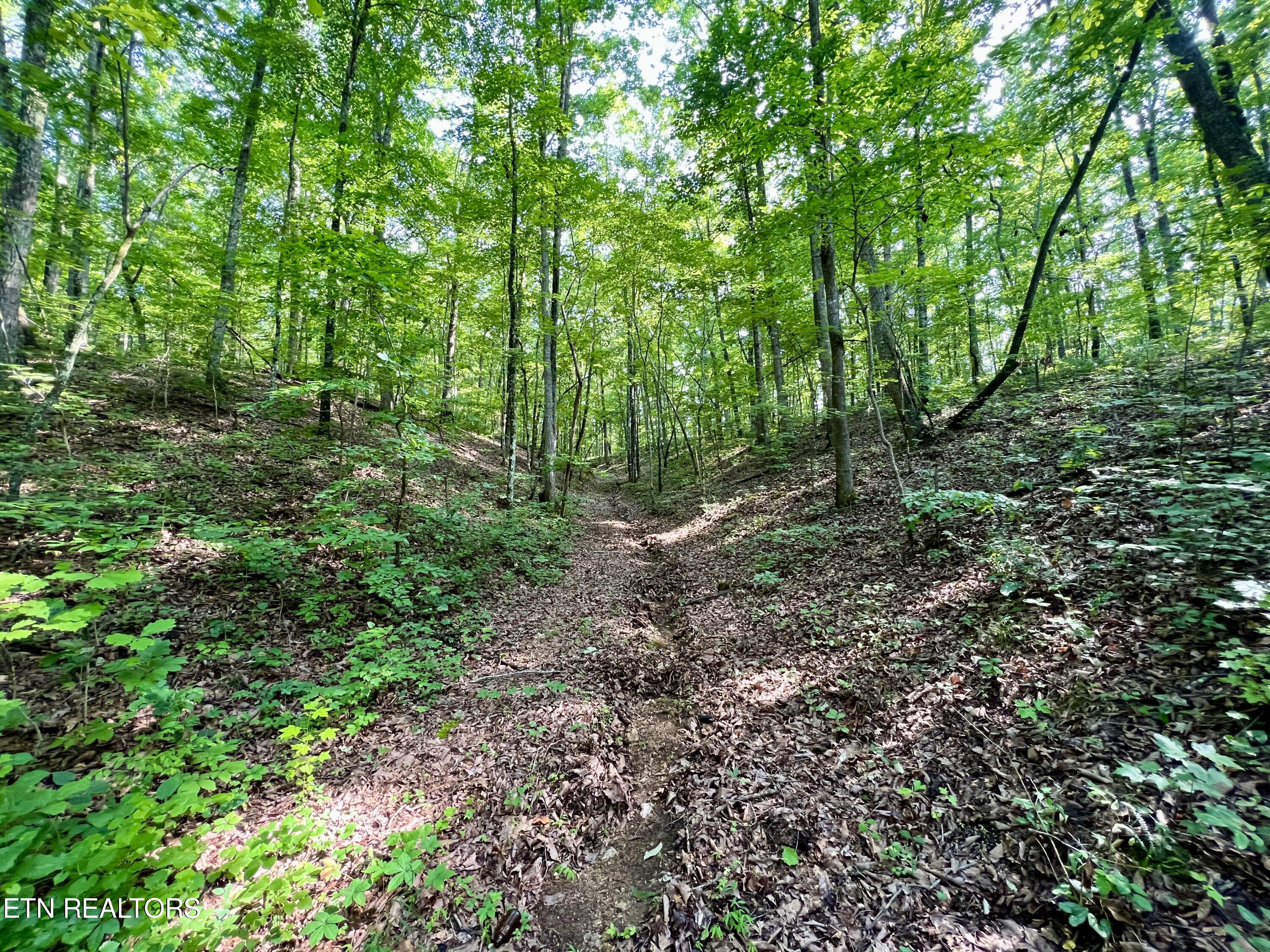 Ridge Road Decatur, TN 37322 - Photo 55 of 60 IMG_7835