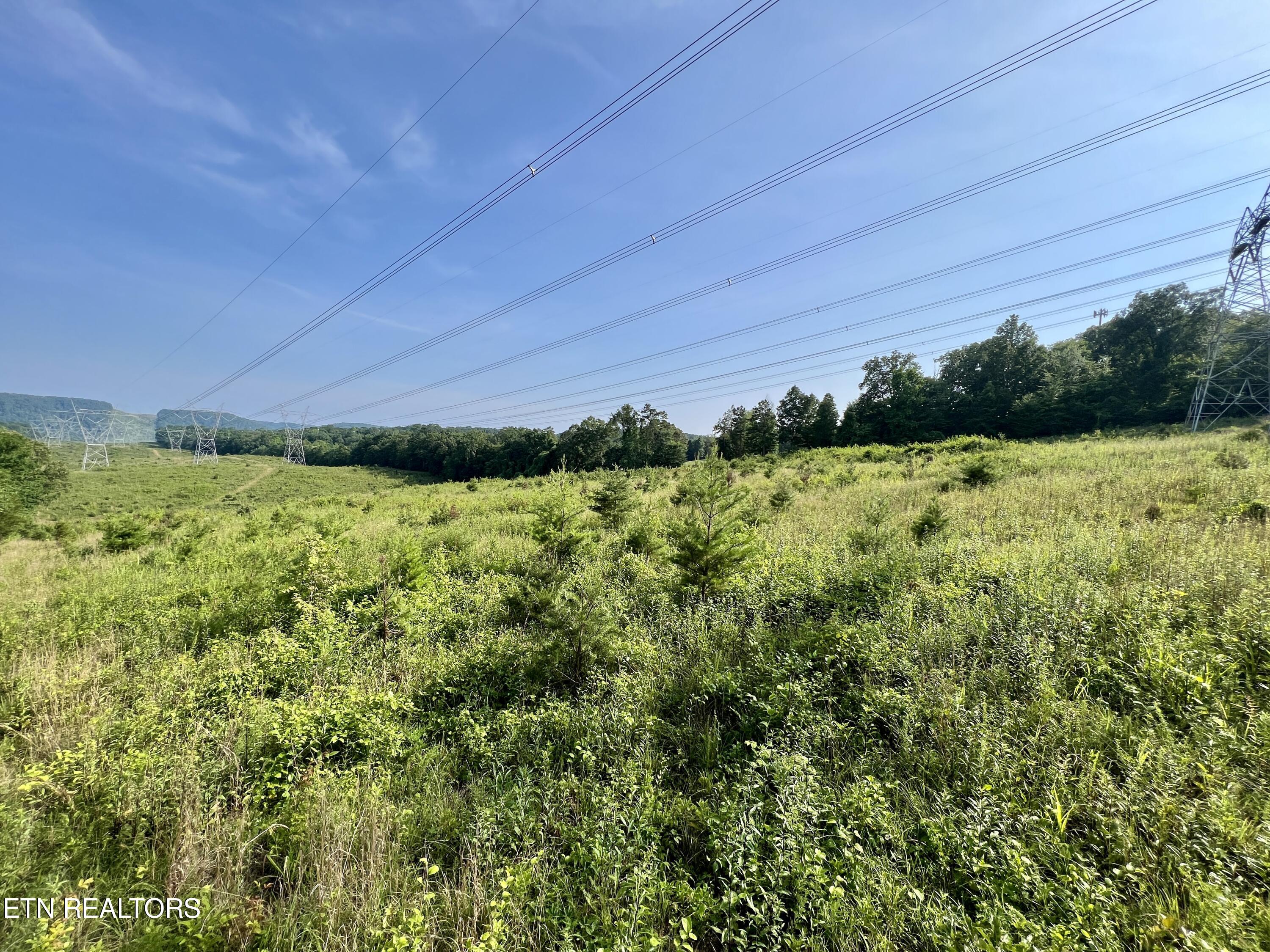 Ridge Road Decatur, TN 37322 - Photo 56 of 60 IMG_7837