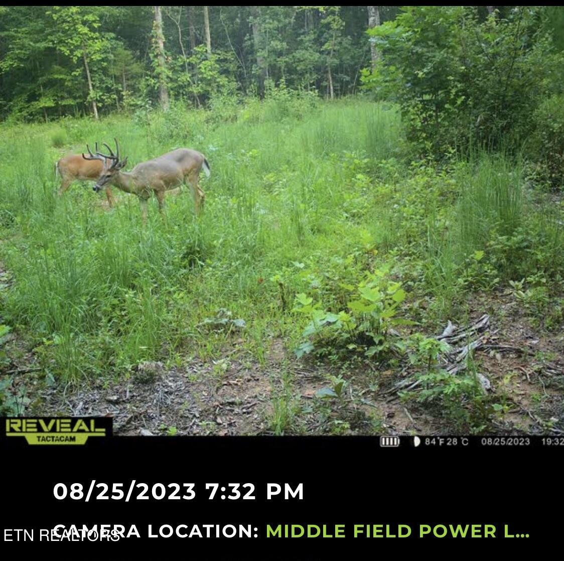 Ridge Road Decatur, TN 37322 - Photo 59 of 60 IMG_4792