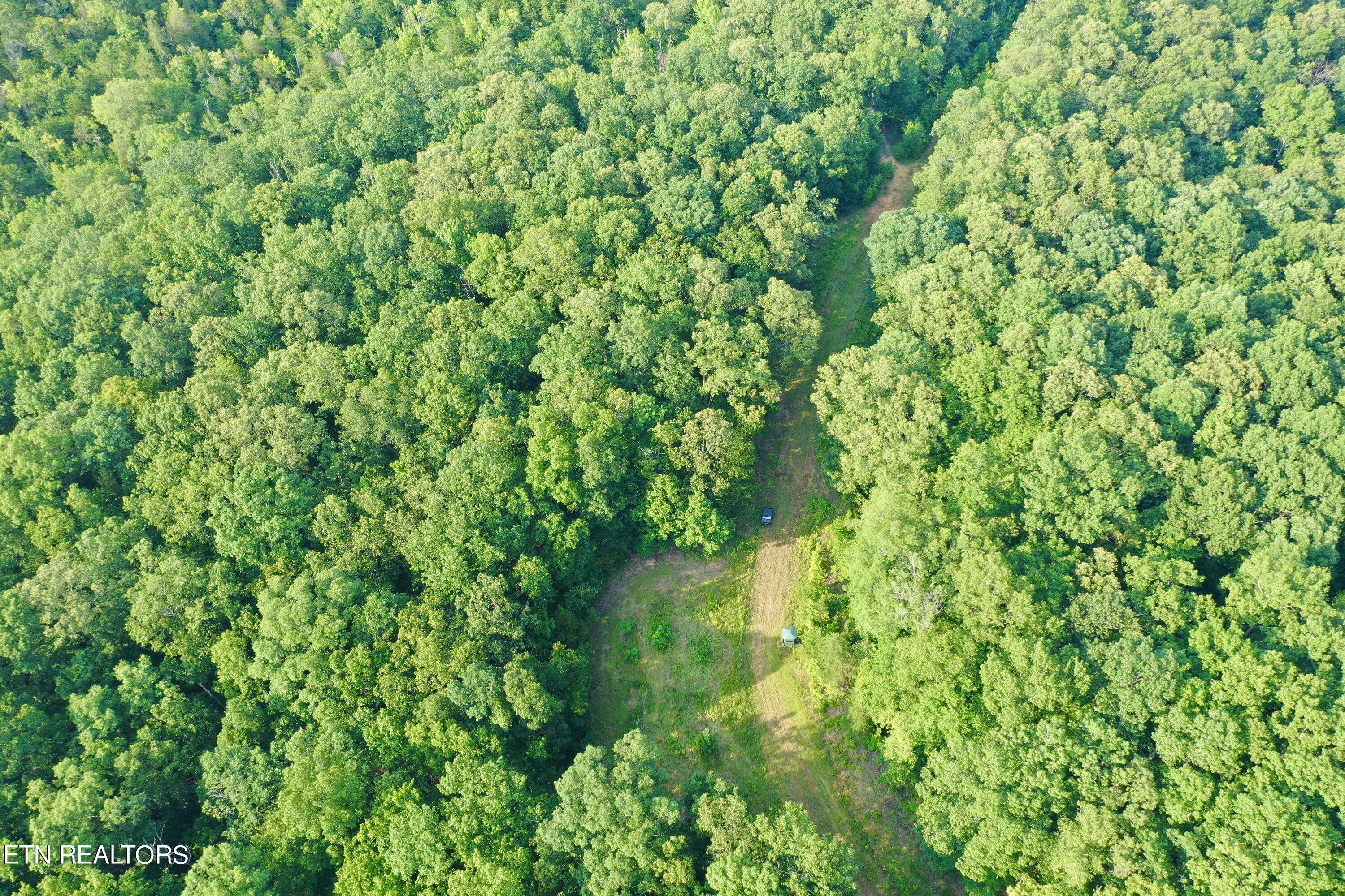 Ridge Road Decatur, TN 37322 - Photo 6 of 60 6