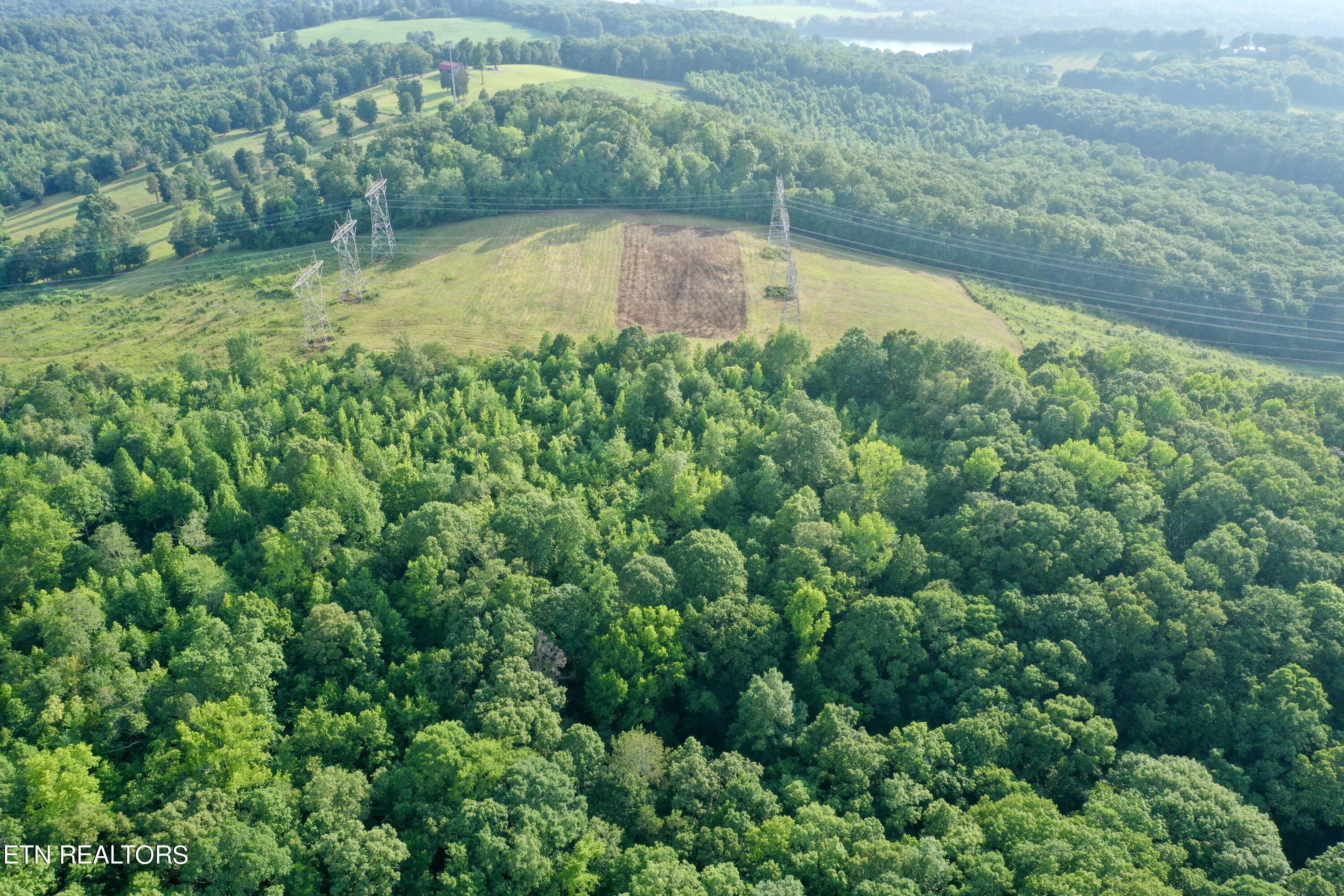 Ridge Road Decatur, TN 37322 - Photo 7 of 60 7