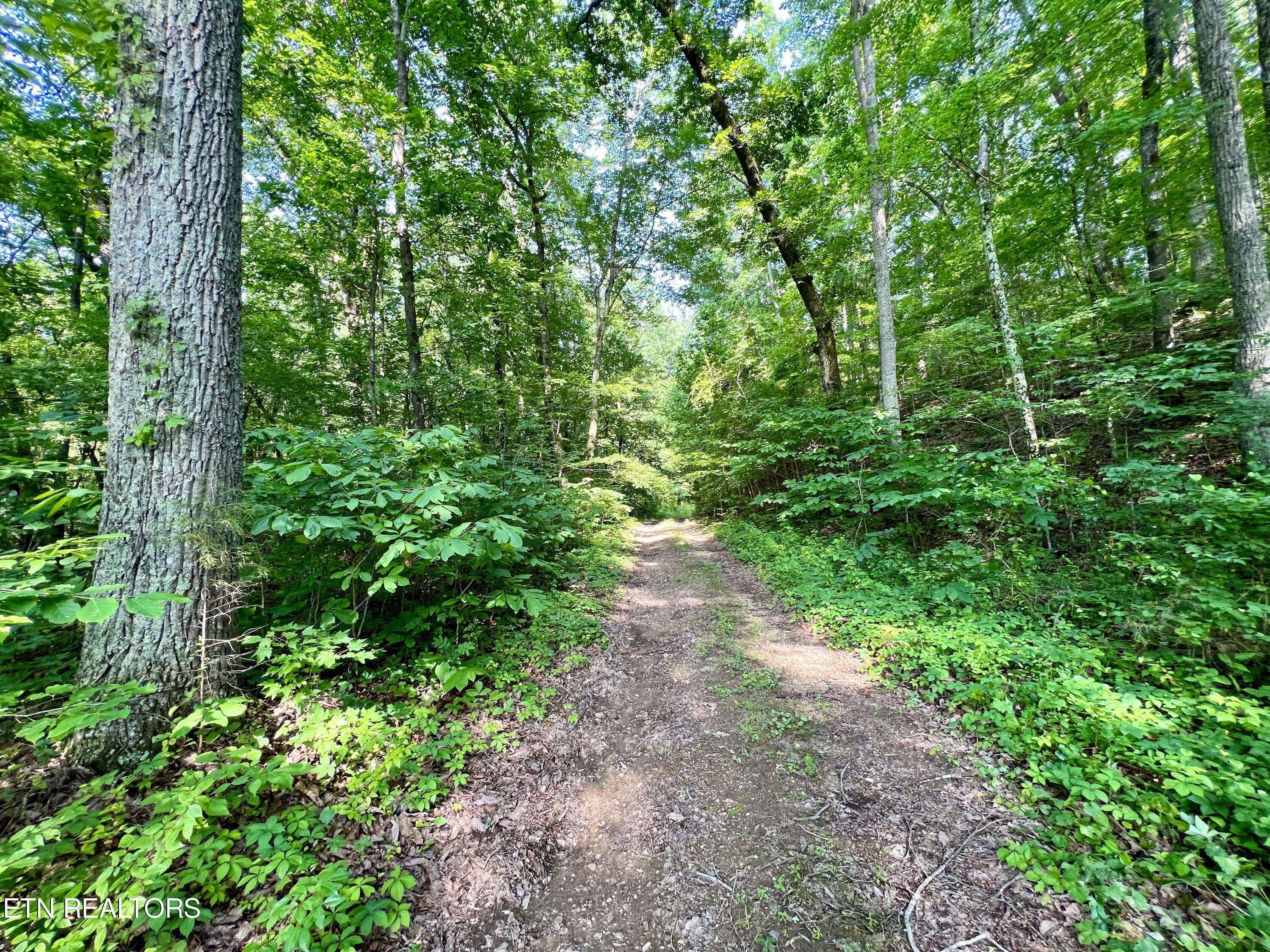 Ridge Road Decatur, TN 37322 - Photo 10 of 60 10