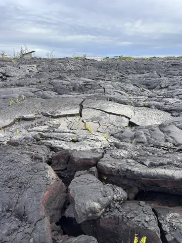 $15,000 | Undisclosed Address, Pahoa, HI 96778