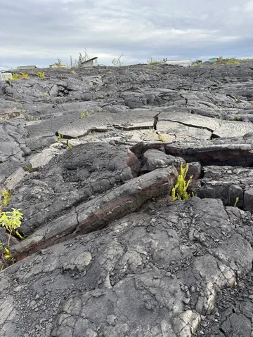 $15,000 | Undisclosed Address, Pahoa, HI 96778