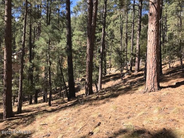 35-x2 East Sheldon Road Prescott, AZ 86303 - Photo 10 of 13 IMG_4769