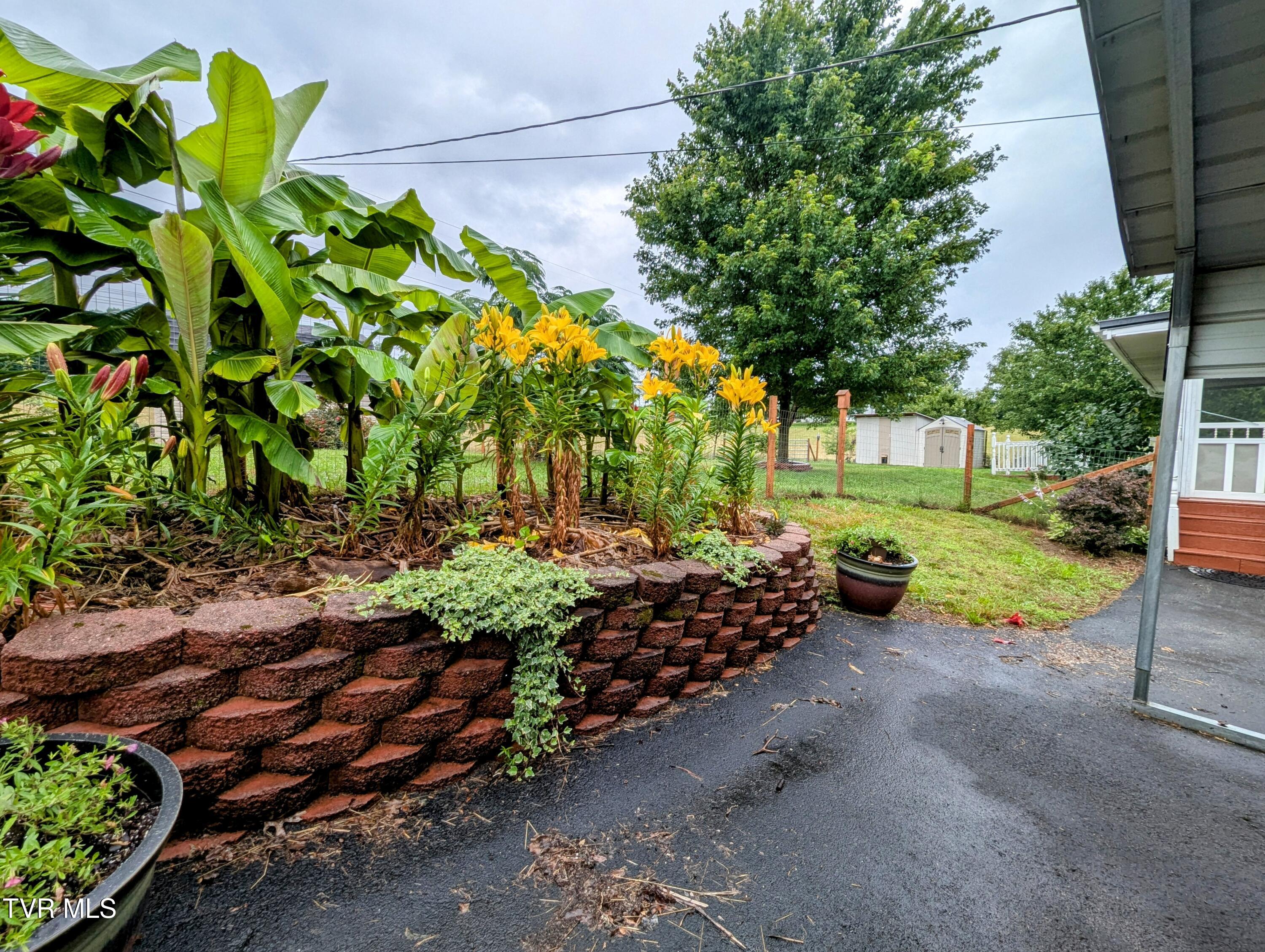 270 Payne Ridge Road Church Hill, TN 37642 - Photo 18 of 73 Backyard
