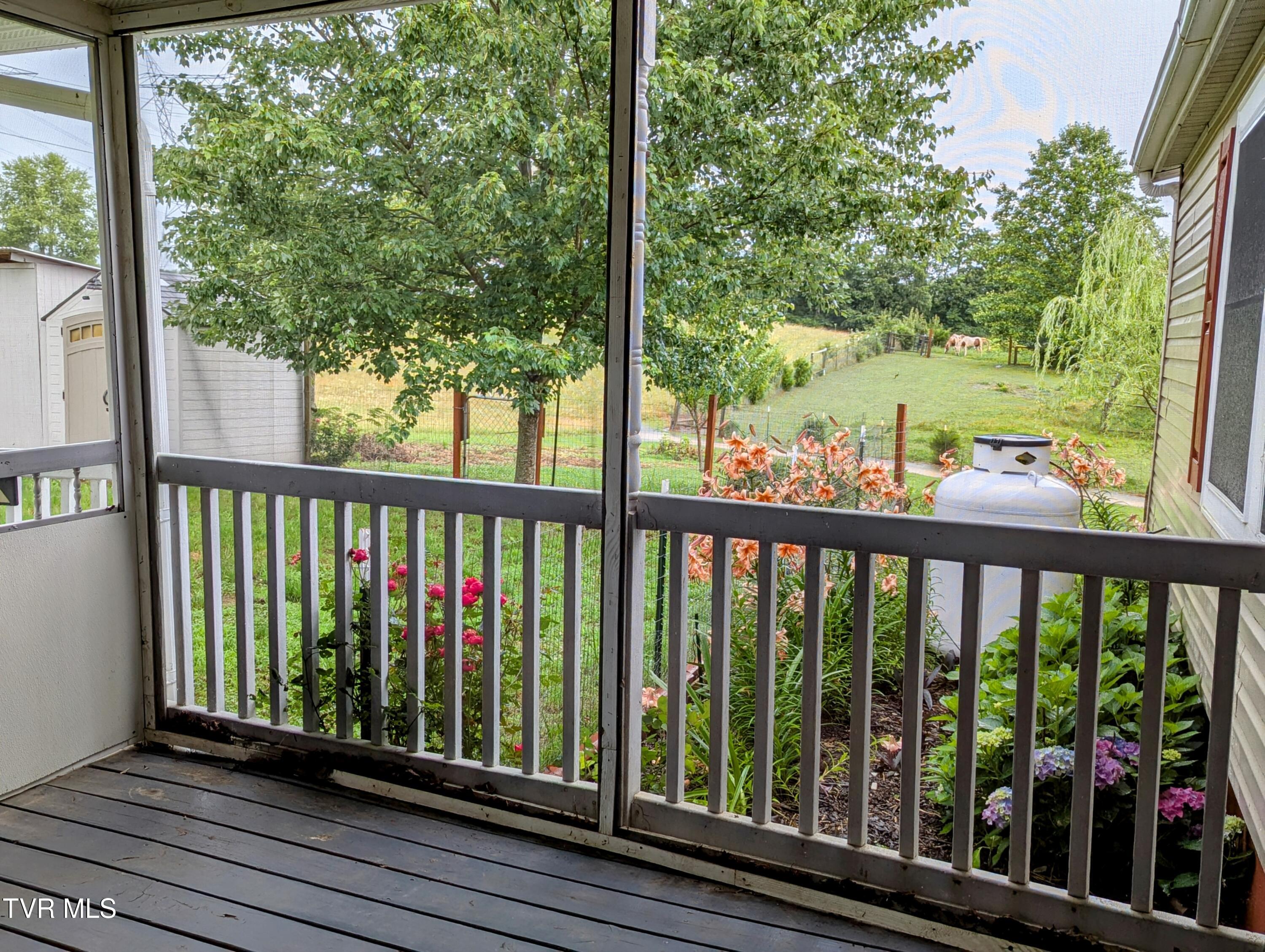 270 Payne Ridge Road Church Hill, TN 37642 - Photo 21 of 73 Backporch,