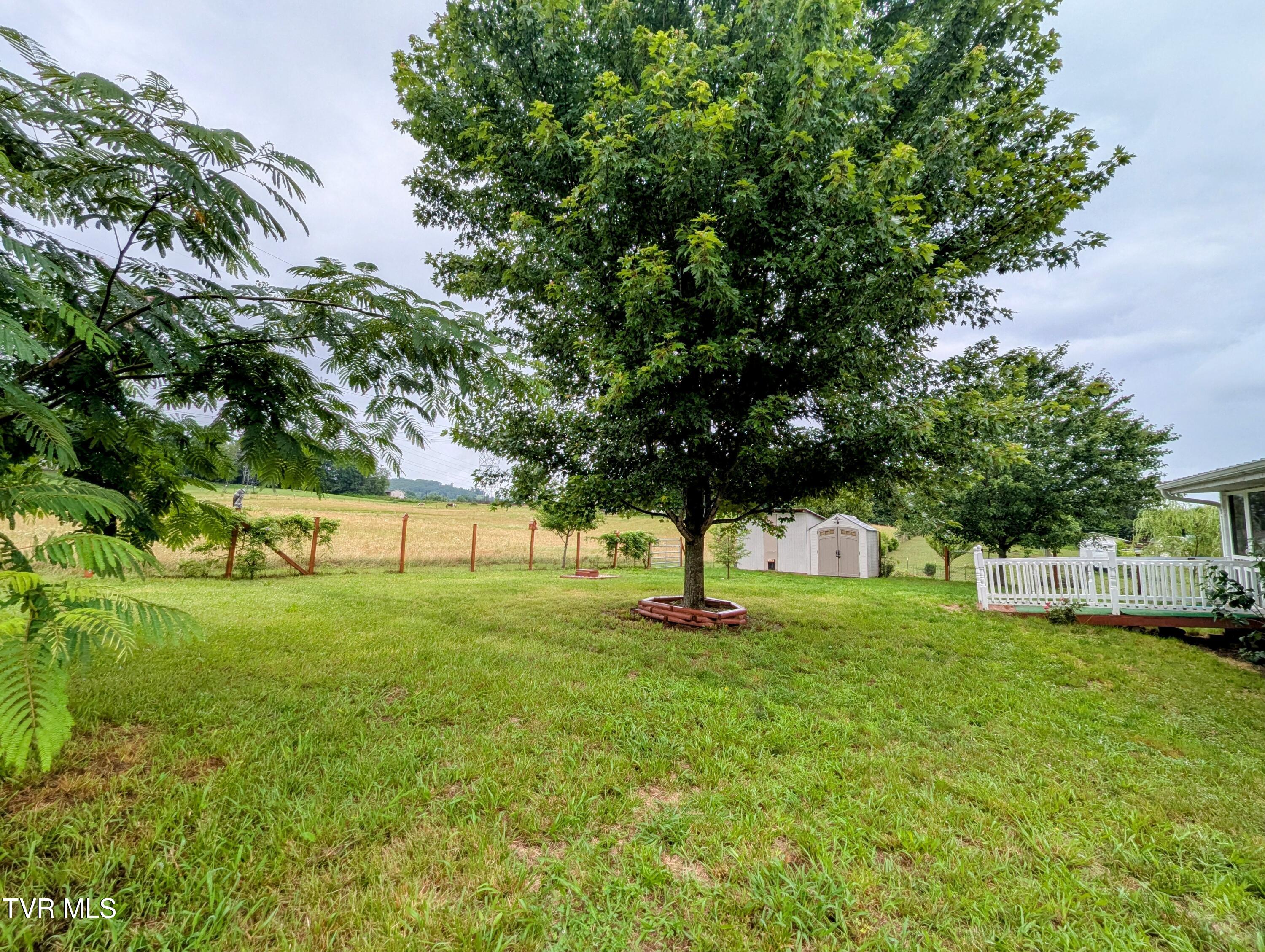 270 Payne Ridge Road Church Hill, TN 37642 - Photo 30 of 73 Backyard_