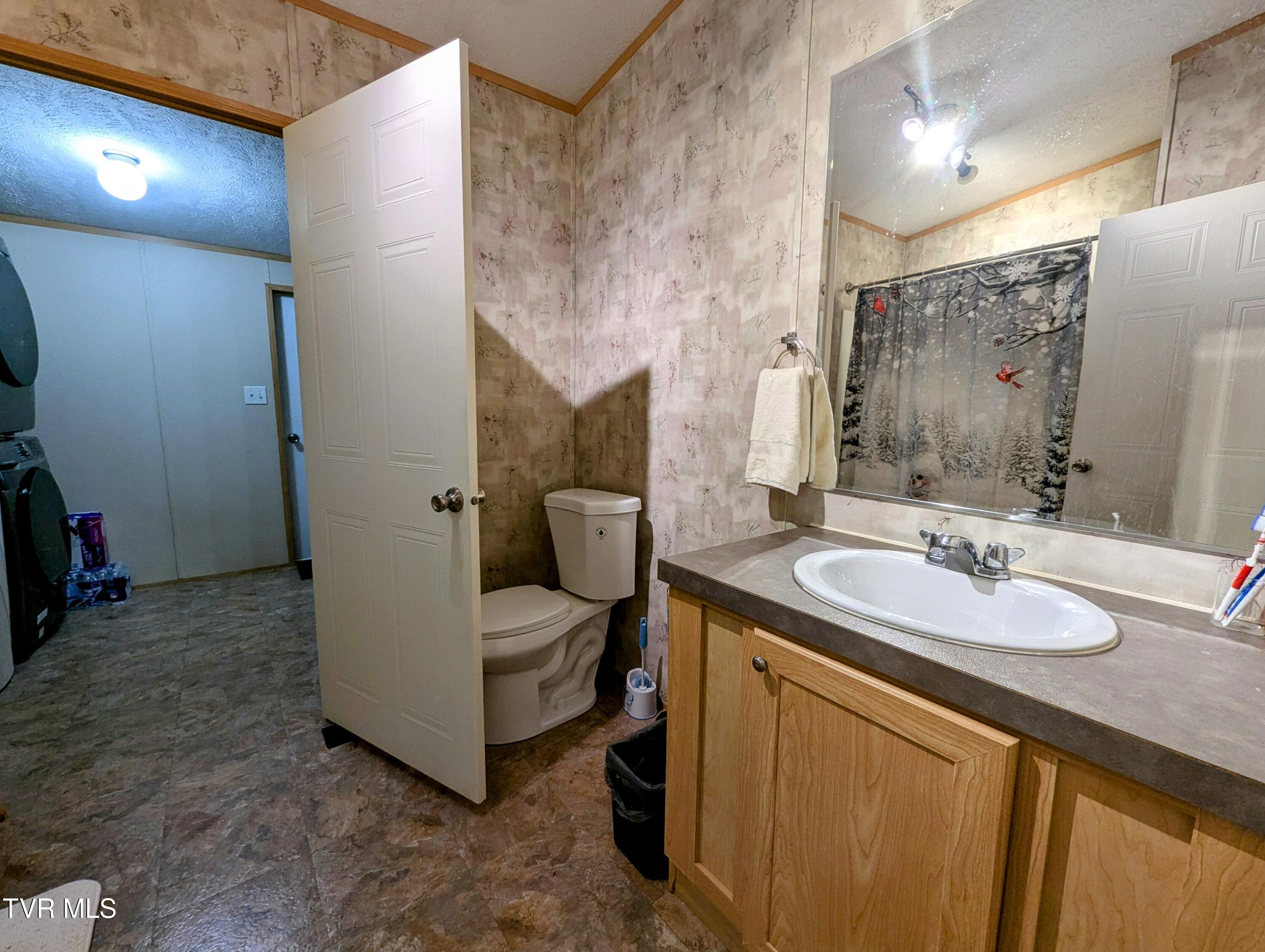 270 Payne Ridge Road Church Hill, TN 37642 - Photo 54 of 73 Bathroom2..