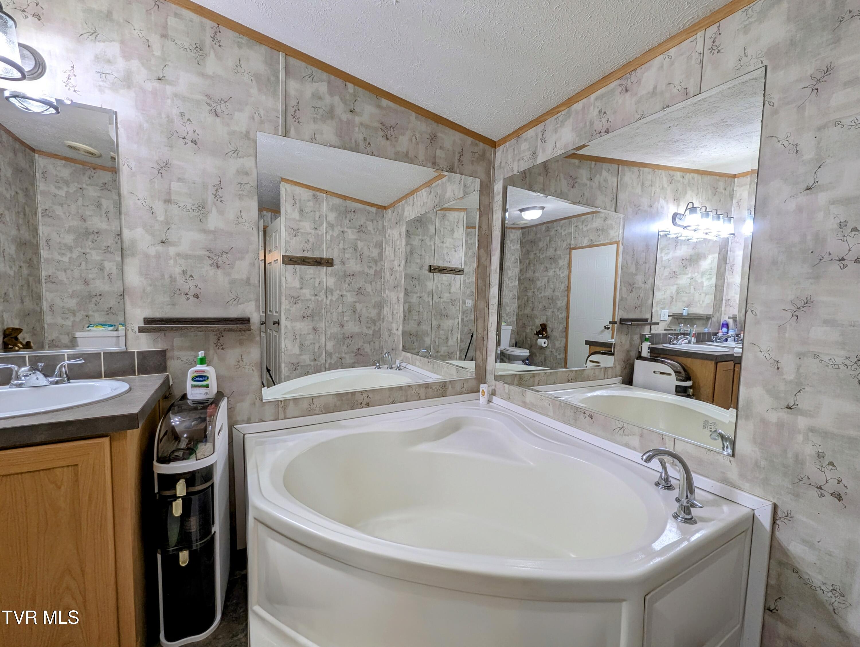 270 Payne Ridge Road Church Hill, TN 37642 - Photo 68 of 73 Bathroom1.
