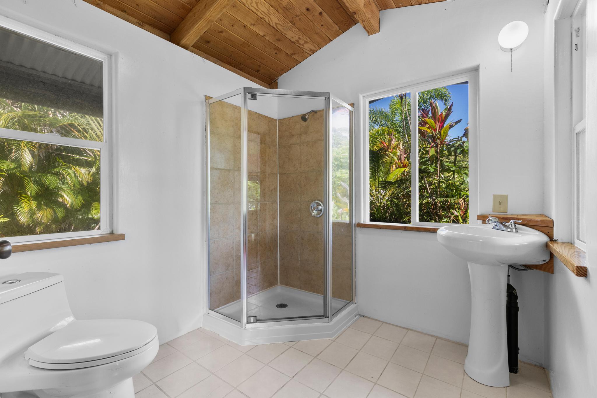 14-3734 Government Beach Road Pahoa, HI 96778 - Photo 8 of 26