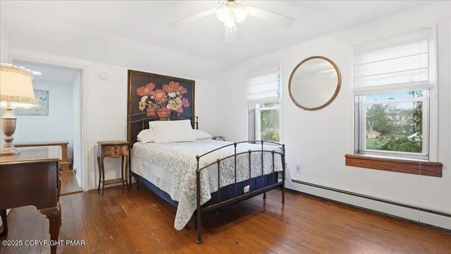 a view of a backyard with a large tree