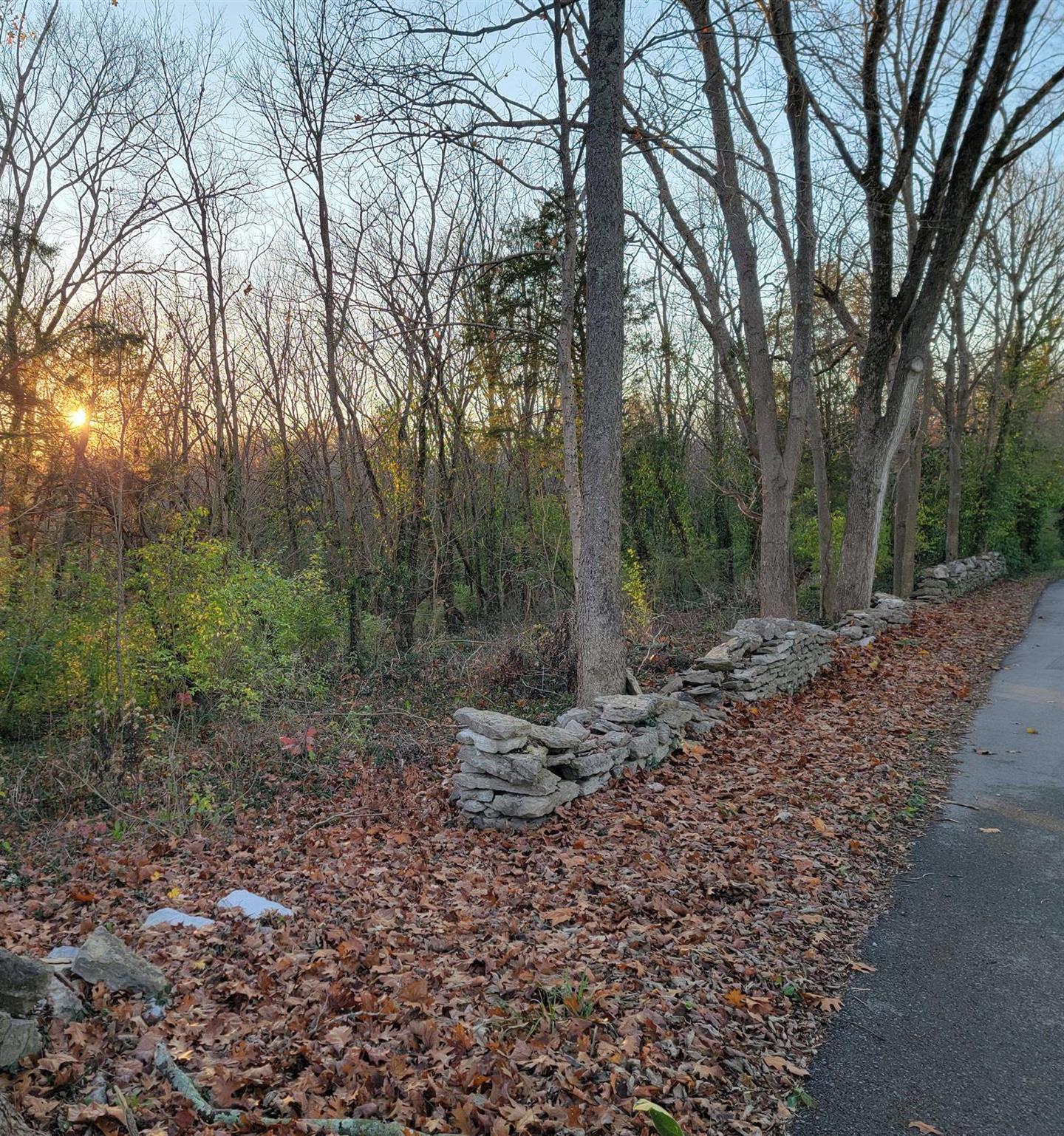 987 Pauls Mill Road Versailles, KY 40383 - Photo 14 of 20 Pauls Mill Stone Wall