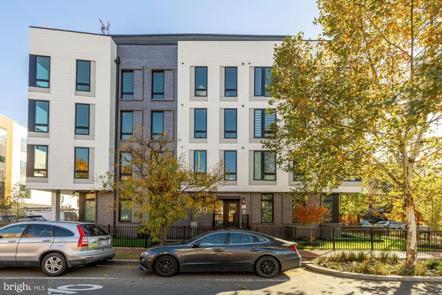 a view of a house with a yard and a large tree