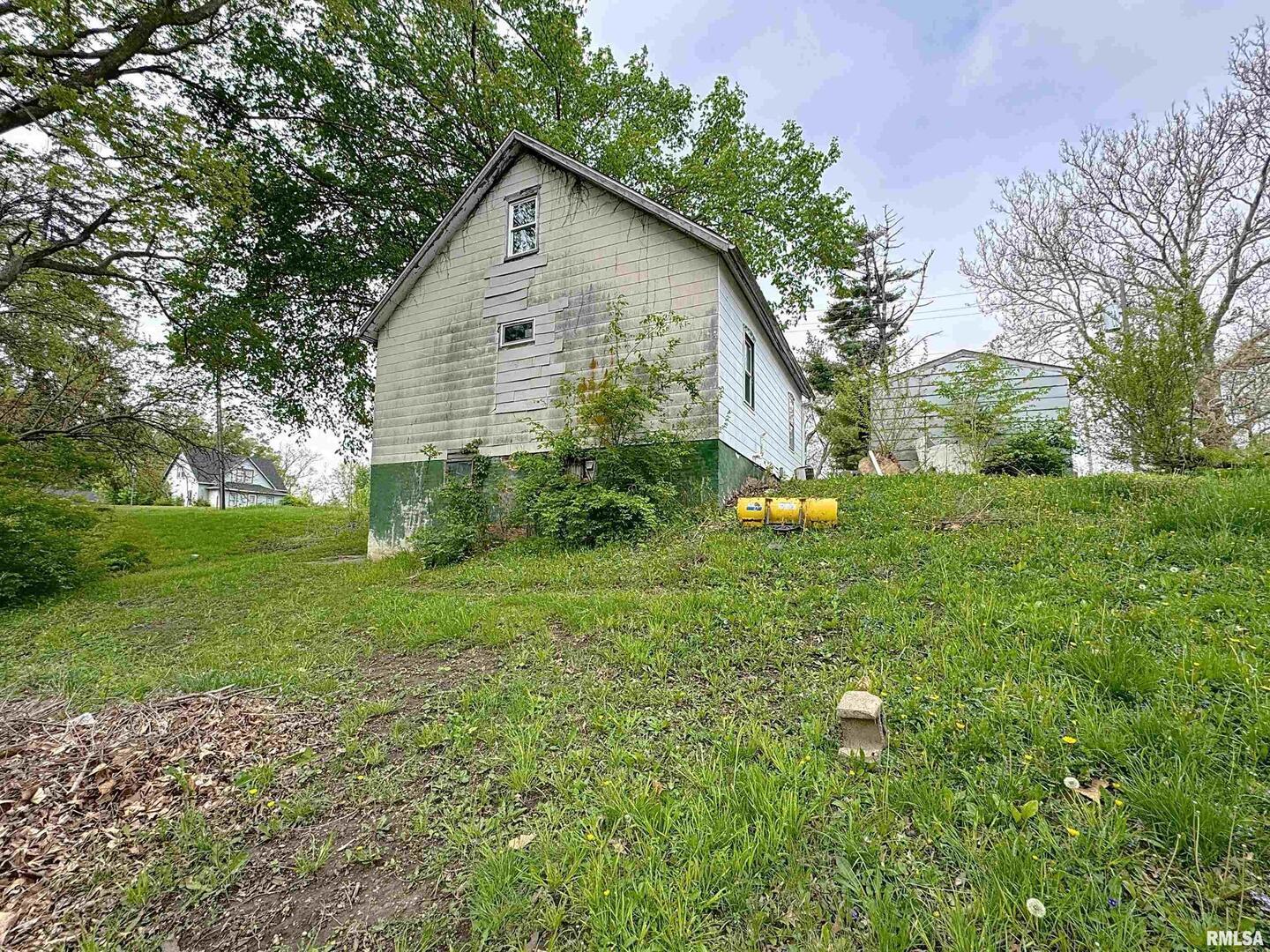 204 Main Avenue Matherville, IL 61263 - Photo 27 of 27 a view of a backyard with plants and large trees