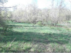 6430 North Britton Road Solsberry, IN 47459 - Photo 5 of 8 Gallery Image 5