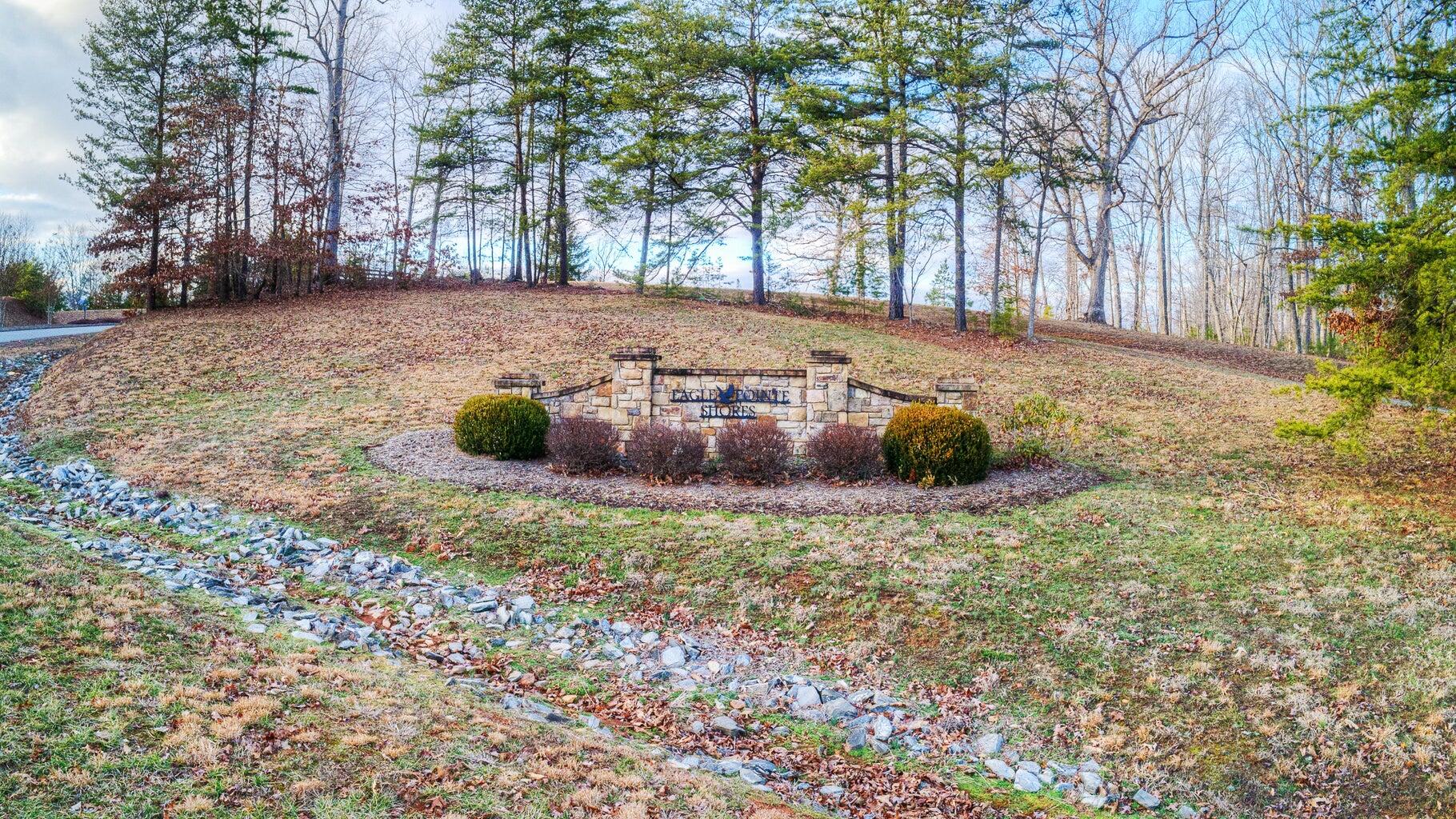 Lot 6 Robin Ridge Court Pittsville, VA 24139 - Photo 4 of 14 a view of open space with trees