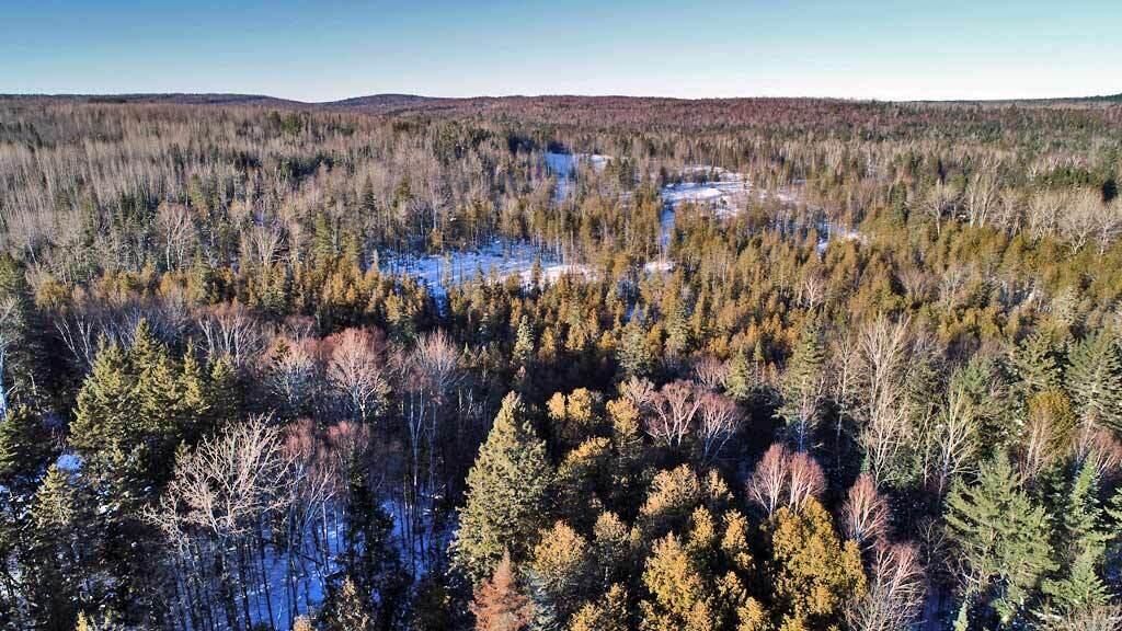 Lot 6 Ludlow Road Houlton, ME 04730 - Photo 18 of 28 land-maine-ludlow-me-8