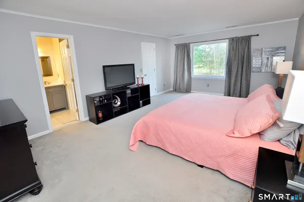 a bed room with a bed and a television