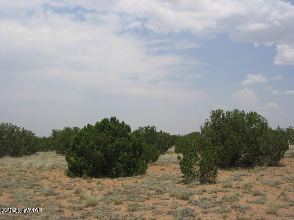 7 T14 R16e Chevelon Retreat Heber, AZ 85928 - Photo 1 of 2