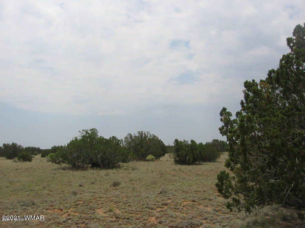 7 T14 R16e Chevelon Retreat Heber, AZ 85928 - Photo 2 of 2