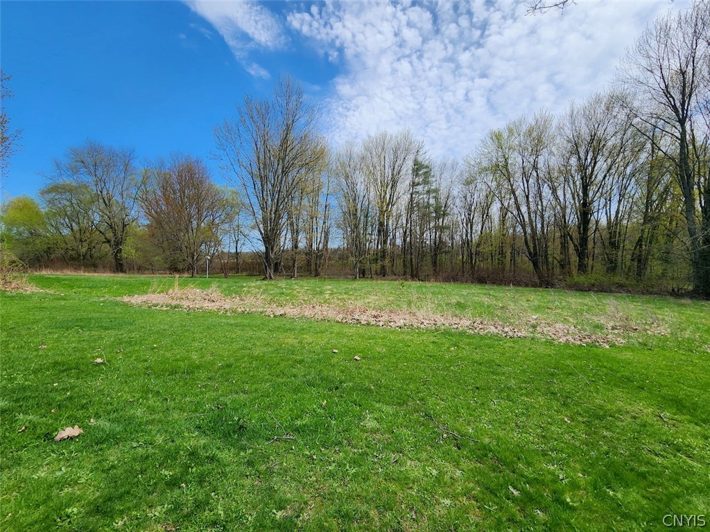 4068 Maider Road Clay, NY 13041 - Photo 29 of 32