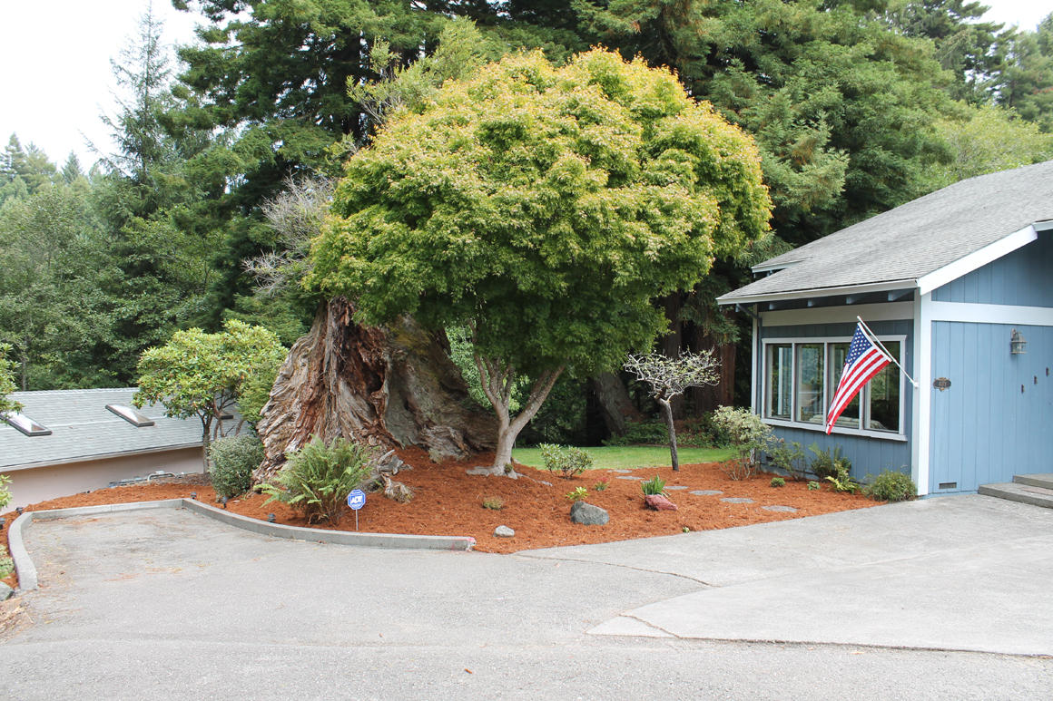 4079 Excelsior Road Eureka, CA 95503 - Photo 12 of 41