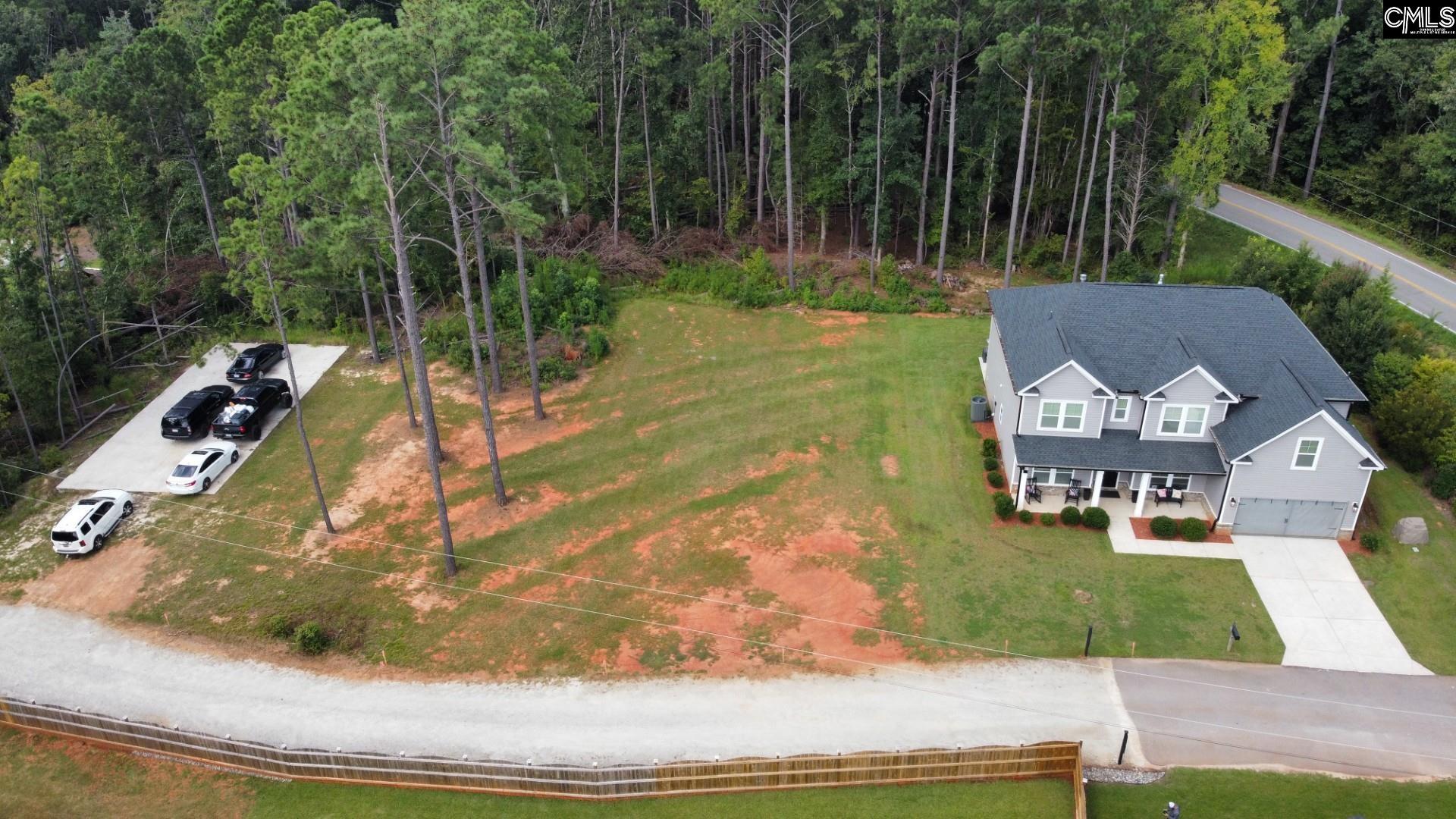 524 Triumph Road Chapin, SC 29036 - Photo 46 of 50