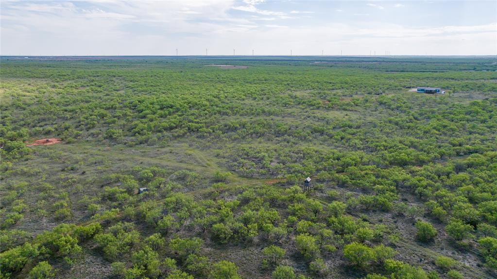 2607 Highway 380 Haskell, TX 79521 - Photo 6 of 32
