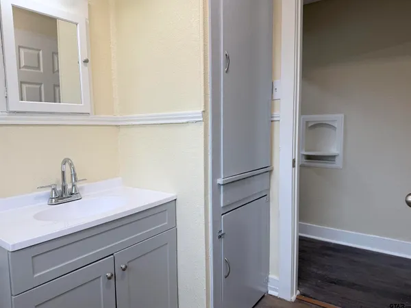 a bathroom with a sink and a mirror