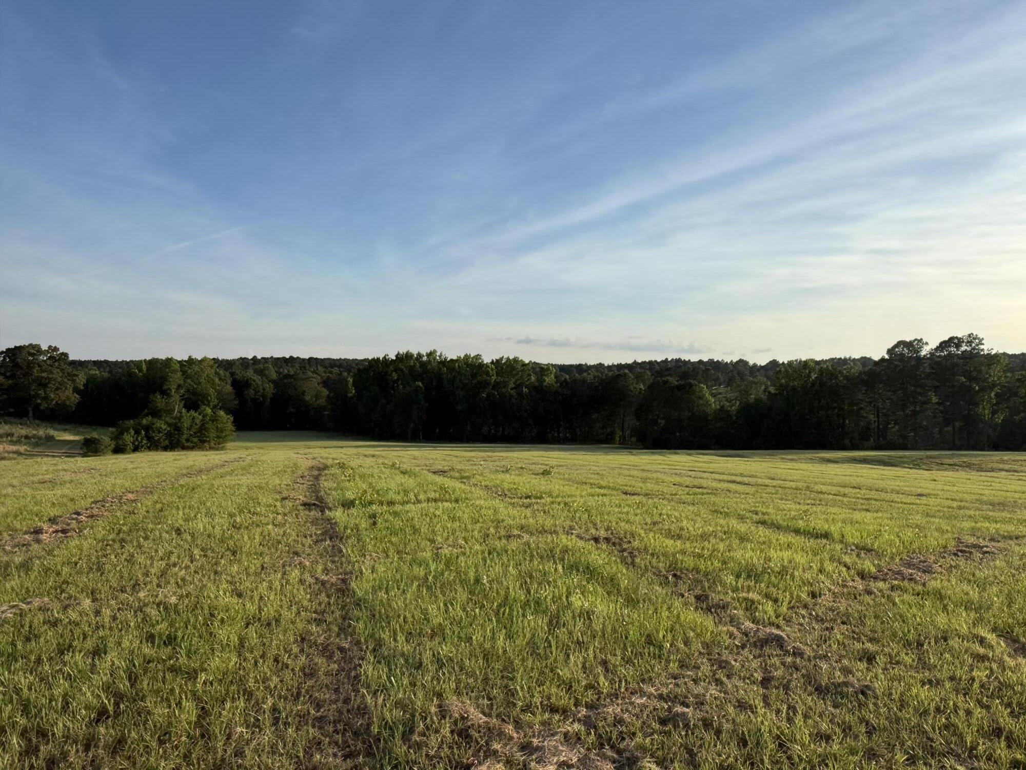 Lot 12 Reeves Street Aiken, SC 29805 - Photo 10 of 22