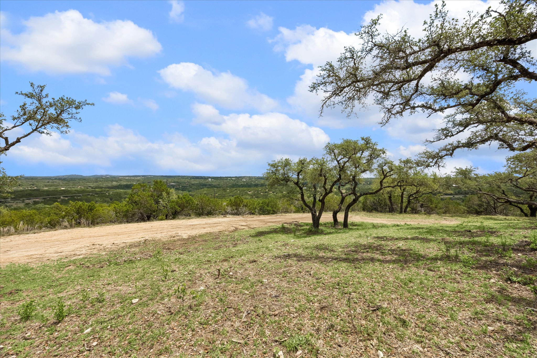 6411 West Fitzhugh Road Dripping Springs, TX 78620 - Photo 25 of 34 Expansive undeveloped land featuring mature trees and a distant tree line