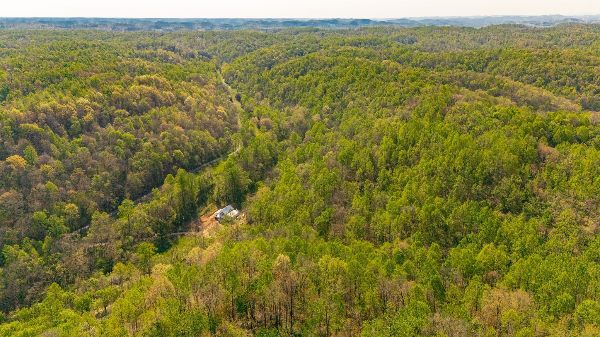 600 Leath Chapel Road Bethpage, TN 37022 - Photo 4 of 13