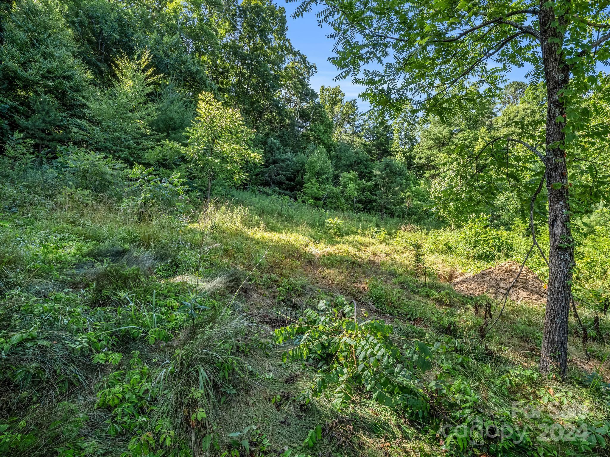 0 Old Fort Road, Unit 3 Fairview, NC 28730 - Photo 5 of 22 Gallery Image 5