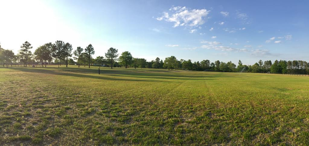 1060 Curb Chain Lane Windsor, SC 29856 - Photo 38 of 44
