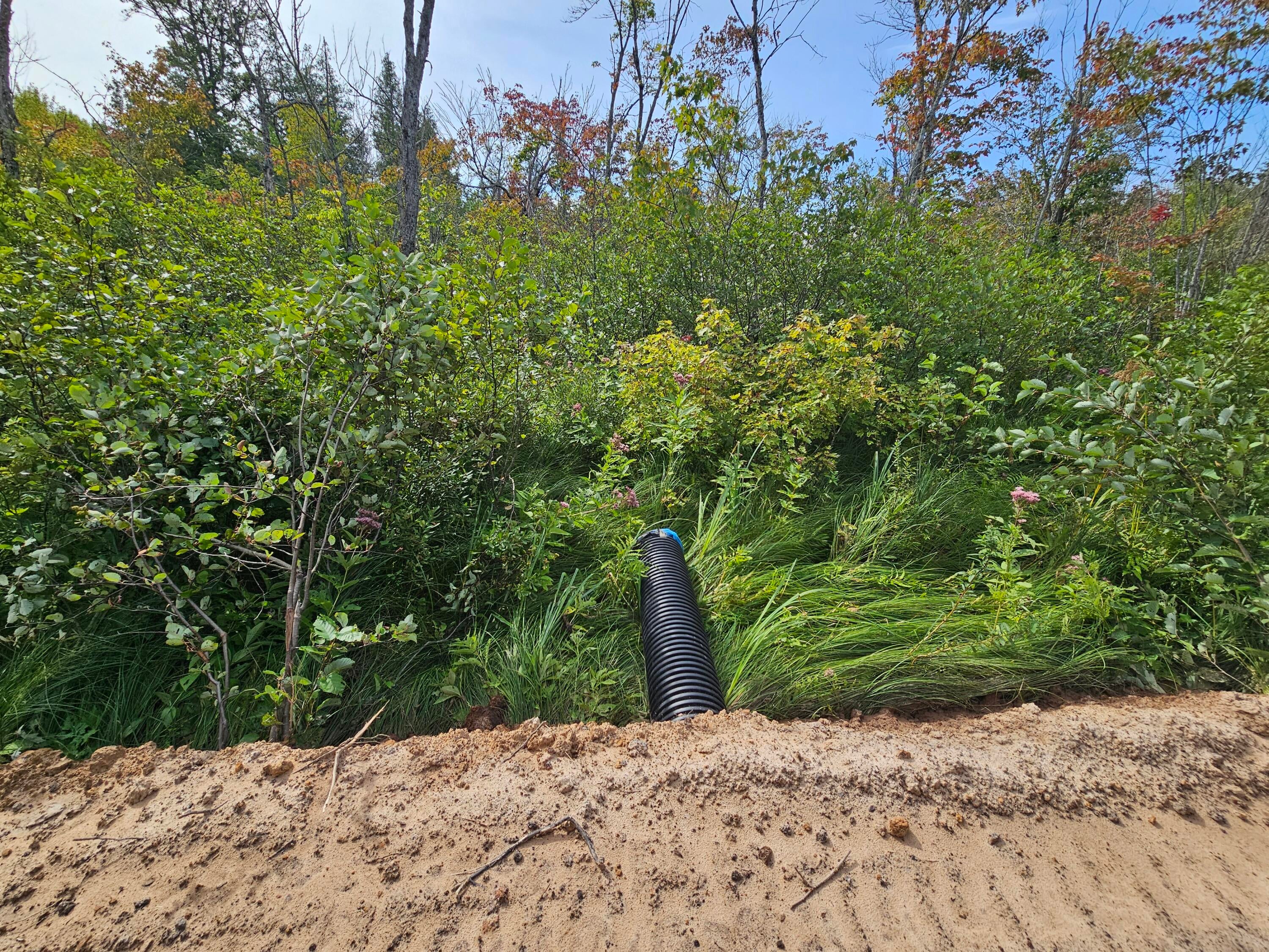 0 Smith Road Newberry, MI 49868 - Photo 16 of 31 Gallery Image 16