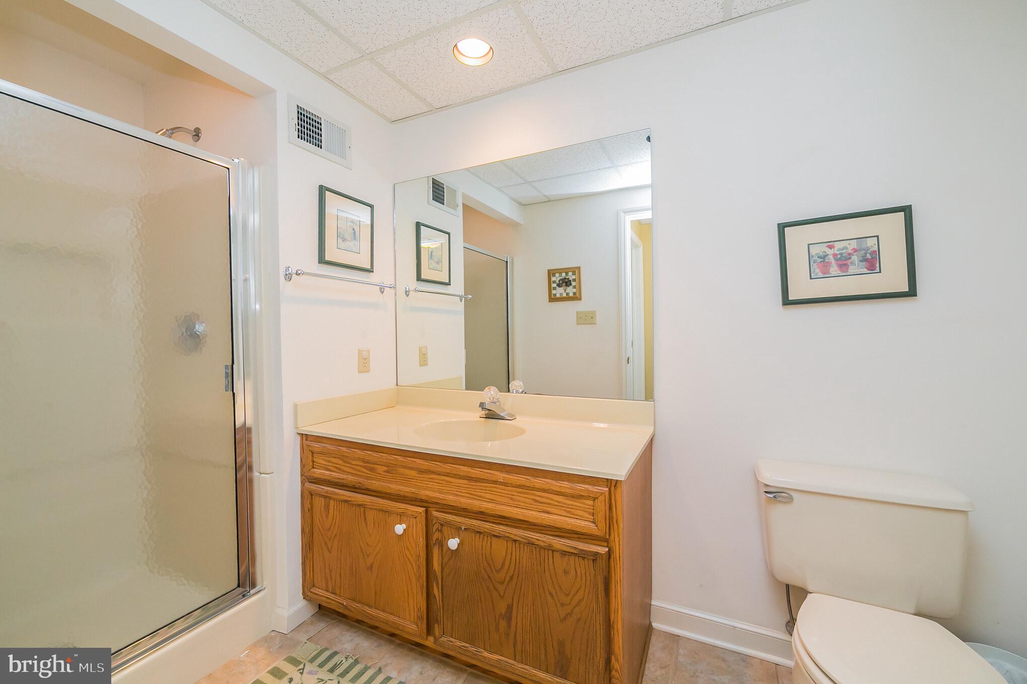 207 Ravenscliff Road Wayne, PA 19087 - Photo 47 of 68 lower level full bath