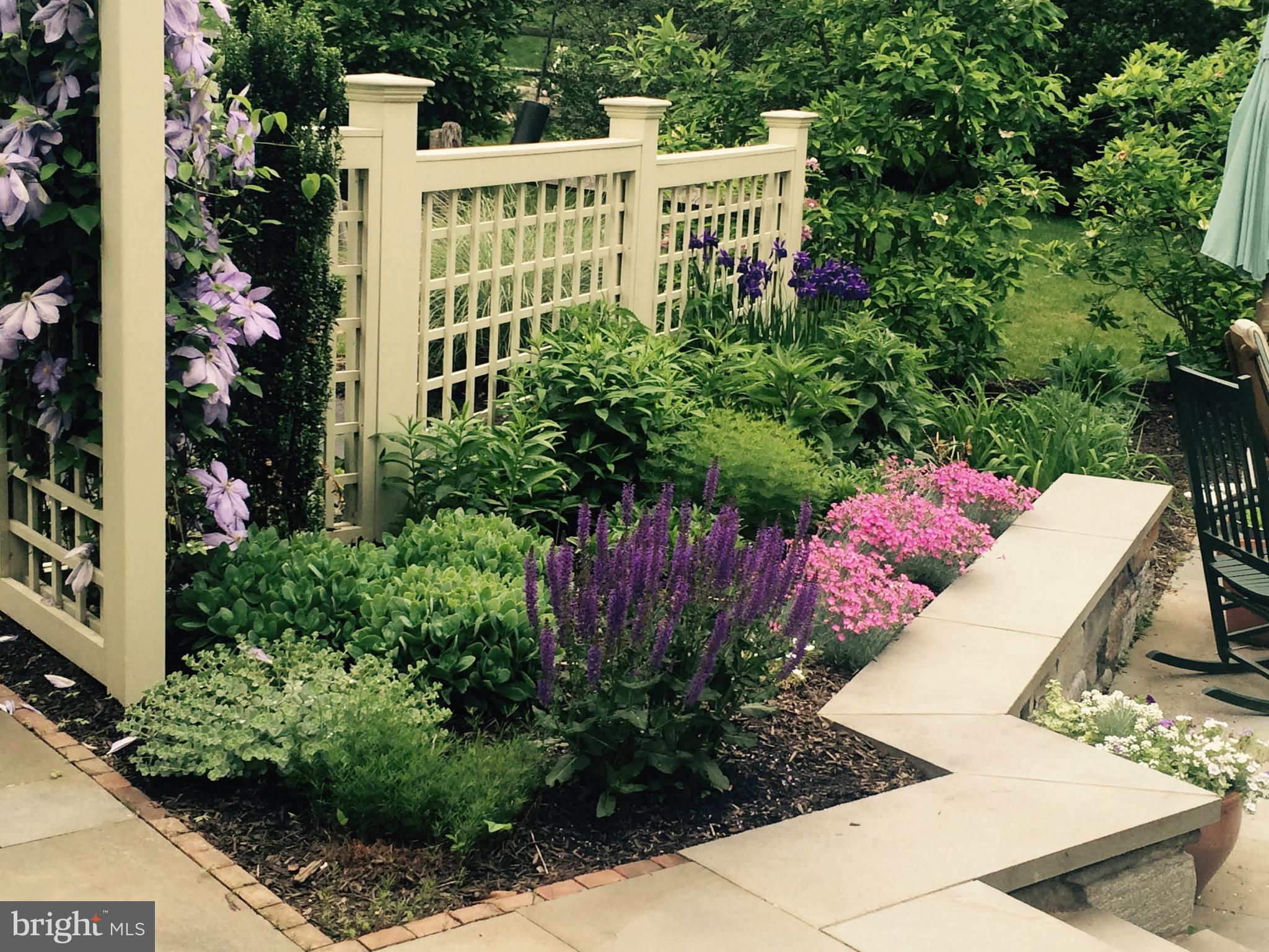 207 Ravenscliff Road Wayne, PA 19087 - Photo 54 of 68 Spring garden patio