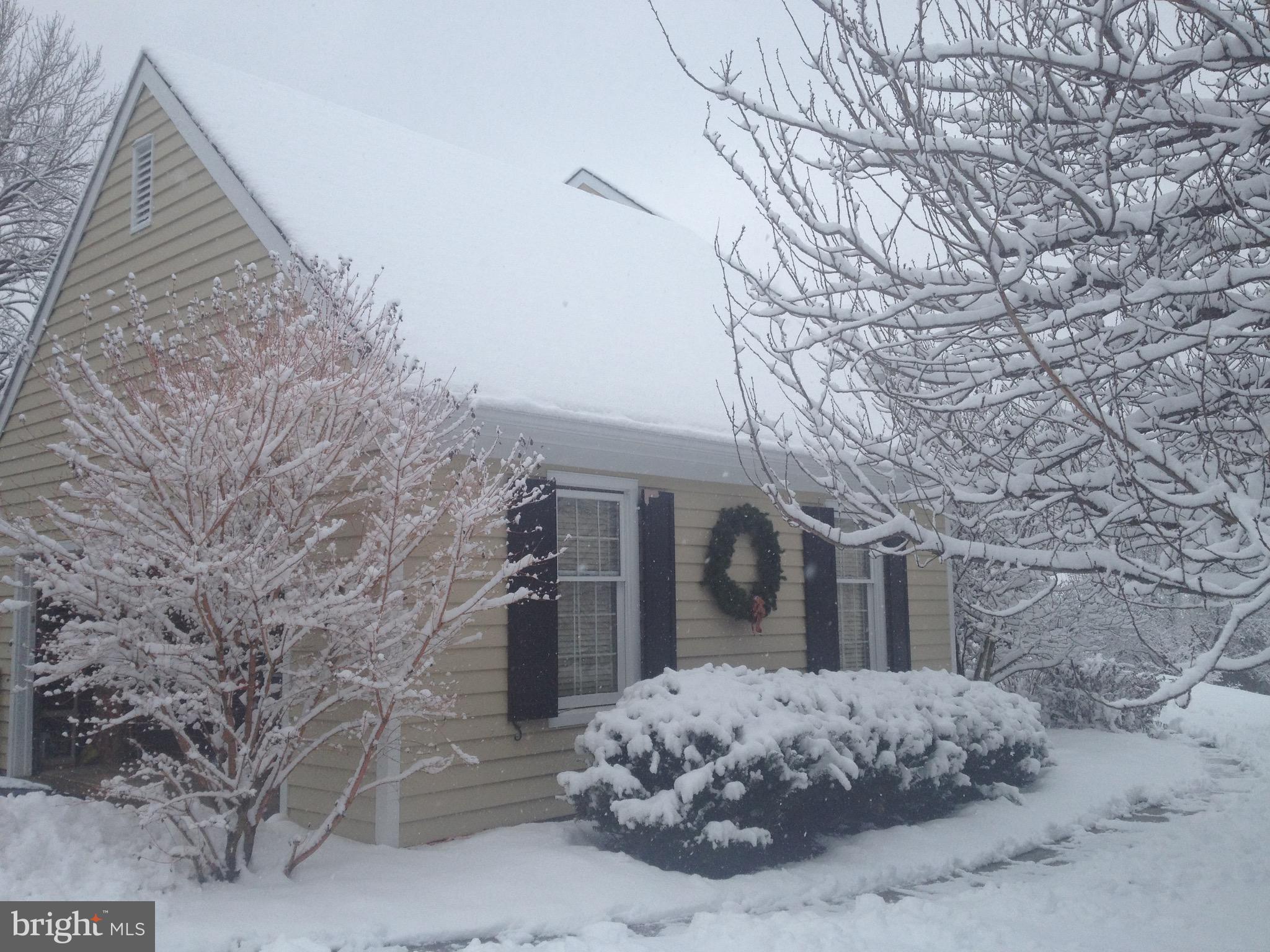 207 Ravenscliff Road Wayne, PA 19087 - Photo 57 of 68 More snow pics
