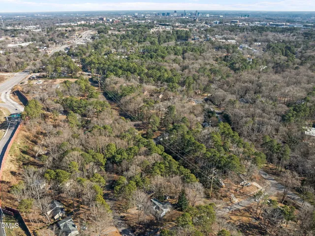 an aerial view of forest
