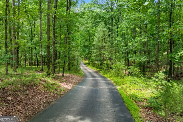 a view of a pathway both side of yard