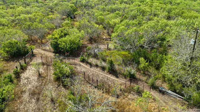 a view of a pathway with a yard