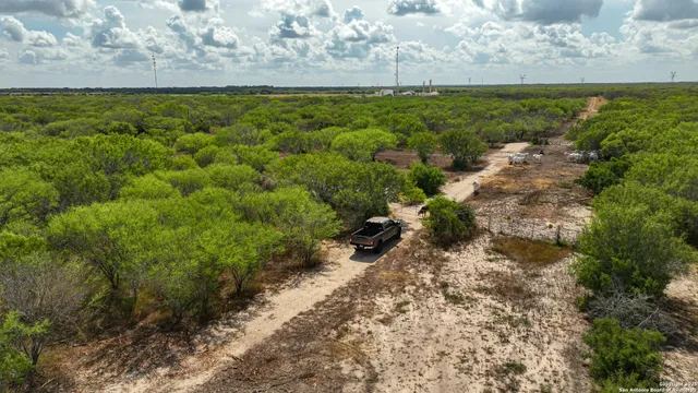 a view of a bunch of trees and bushes