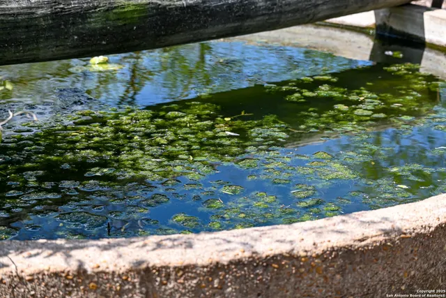 a view of a house with a tree